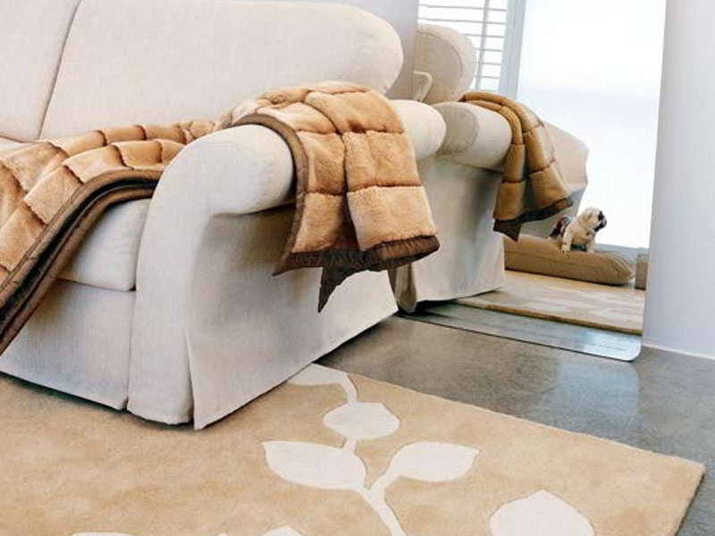 Divani Letto